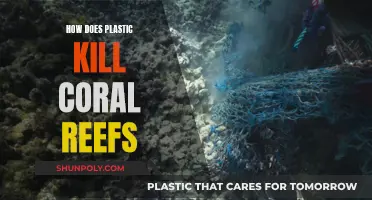 Plastic Pollution: Killing Coral Reefs