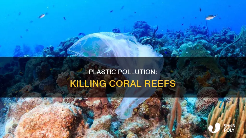 how does plastic kill coral reefs