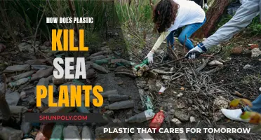 Plastic Pollution: Killing Sea Plants and Corals