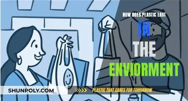 Plastic's Environmental Persistence: Why It's Forever