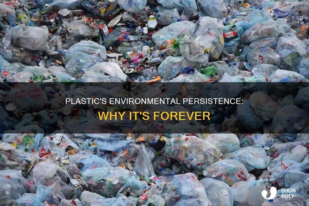 how does plastic last in the enviorment