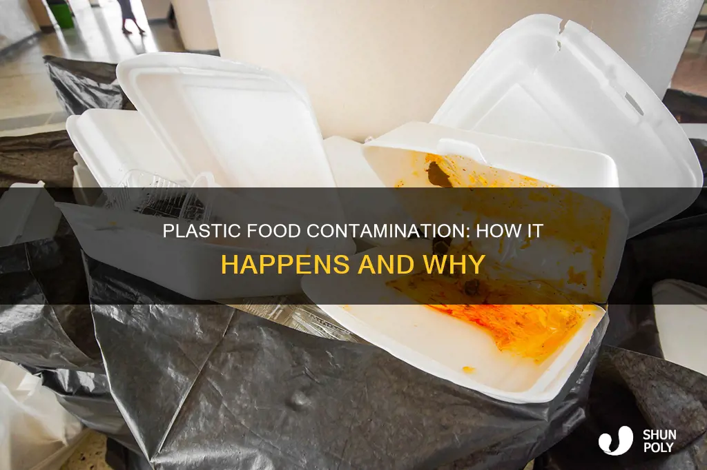 how does plastic leach into food