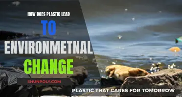 Plastic Pollution: Environmental Impact and Change