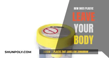 Plastic Detox: Leaving Your Body Plastic-Free