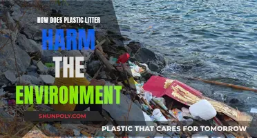 Plastic Pollution: Harming Our Planet, Our Health
