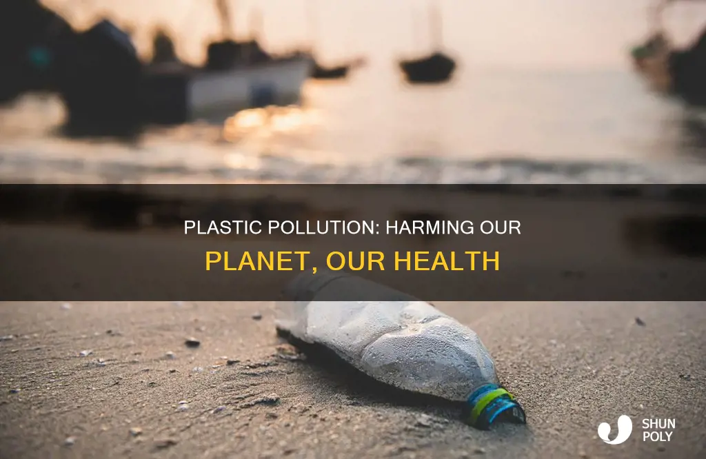 how does plastic litter harm the environment
