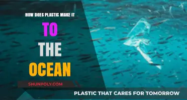 From Land to Sea: Tracing Plastic's Journey to Ocean Pollution
