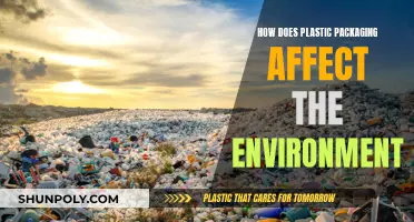 Plastic Packaging's Environmental Impact: What You Need to Know