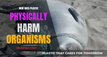 Plastic Pollution: Physically Harming Organisms