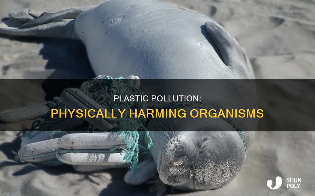 how does plastic physically harm organisms