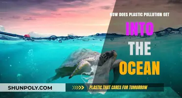 How Plastic Pollution Enters Oceans: Sources, Pathways, and Solutions
