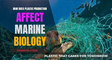 Plastic Production: A Marine Biology Crisis