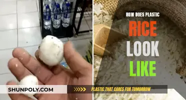 Plastic Rice: What Does It Look Like?