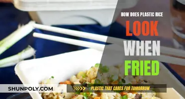 Plastic Rice: Fried Food Fraud?