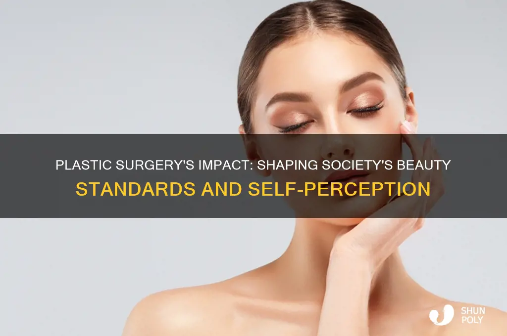 how does plastic surgery affect society