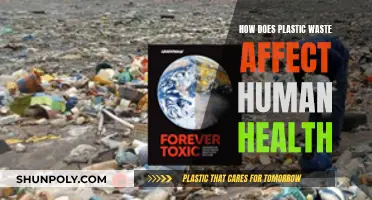 Plastic Pollution: Harming Our Health and Environment