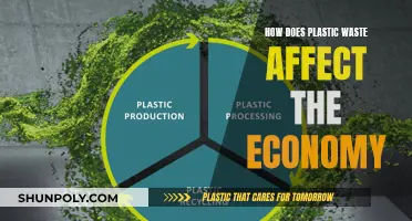 Plastic Pollution: Economic Impacts and Environmental Costs