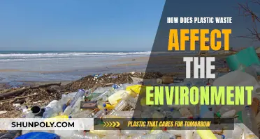 Plastic Waste's Environmental Impact: A Global Concern