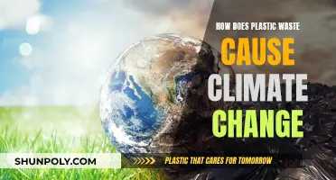 Plastic Waste: A Climate Change Culprit