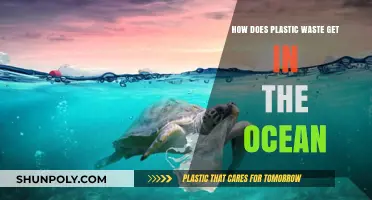 How Plastic Waste Enters Oceans: Sources, Pathways, and Solutions