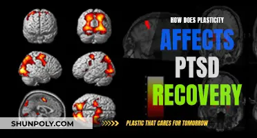 Neuroplasticity: PTSD's Bane or Boon?