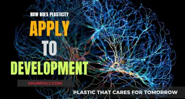 Plasticity and Development: A Dynamic Relationship