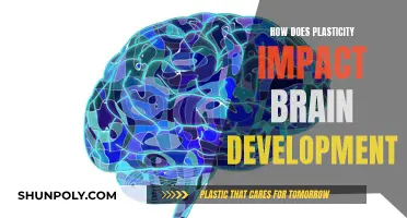 Brain Plasticity: Shaping Development and Potential