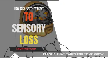 Sensory Loss: Brain Plasticity and its Adaptive Response