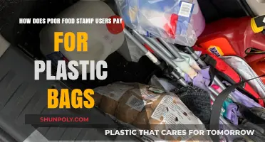 Struggling on Food Stamps: The Hidden Cost of Plastic Bags