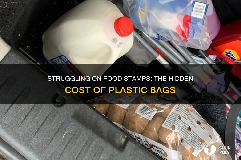 how does poor food stamp users pay for plastic bags