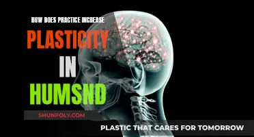 Practice Enhances Human Brain Plasticity: The Power of Repetition