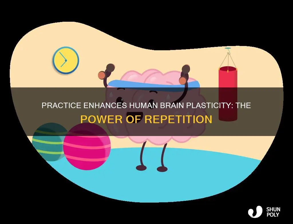 how does practice increase plasticity in humsnd