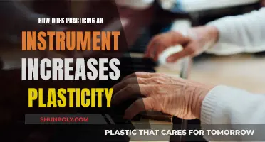 Music Practice: Unlocking Brain Plasticity Potential