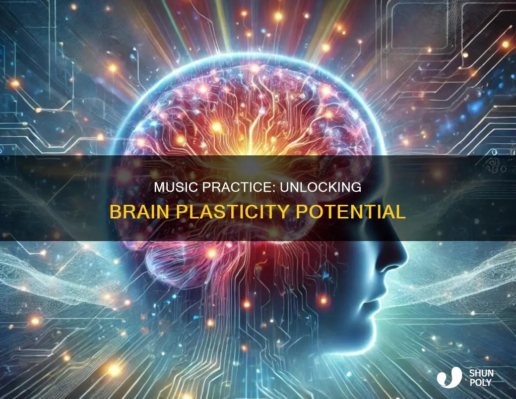how does practicing an instrument increases plasticity