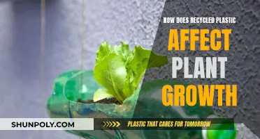 Recycled Plastic's Impact: Nurturing Plants with Sustainable Materials