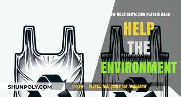 Recycling Plastic Bags: A Simple Step to Protect Our Planet