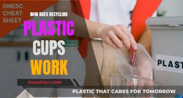 The Recycling Process: Transforming Plastic Cups into New Products