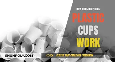 The Process of Recycling Plastic Cups Explained