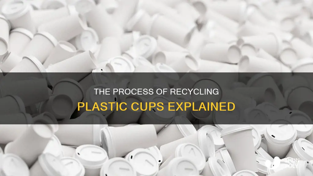 how does recycling plastic cups work