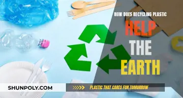 Recycling Plastic: Earth's Lifeline for a Greener Future