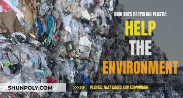 Recycling Plastic: A Green Revolution for a Sustainable Future