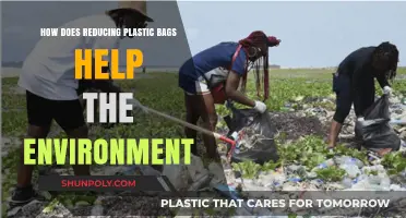 Cutting Plastic Bag Use: A Simple Step for Environmental Preservation