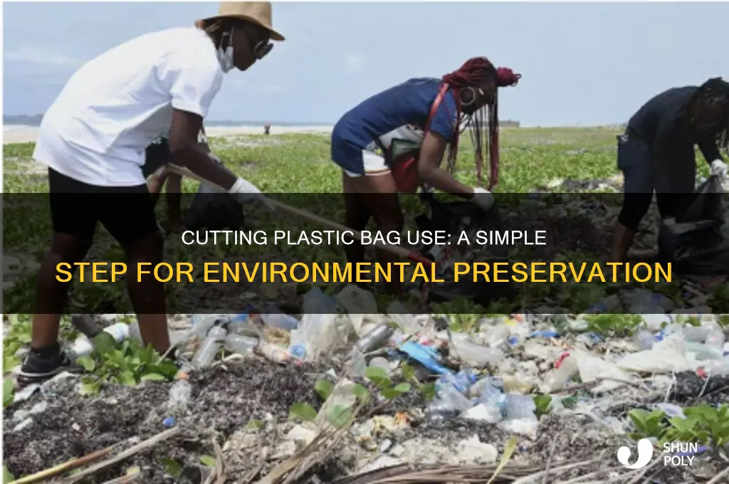 how does reducing plastic bags help the environment