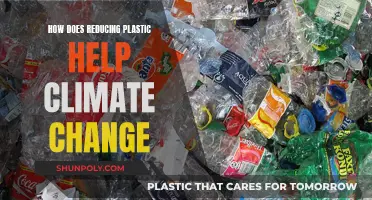Reducing Plastic Usage: A Step Towards Climate Change Mitigation