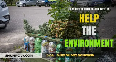 Reusing Plastic Bottles: Simple Eco-Friendly Steps for a Greener Planet