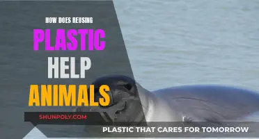 Reducing Plastic Waste: A Lifeline for Animals