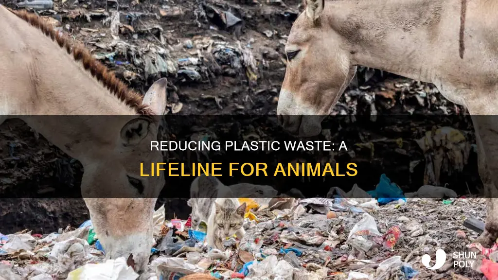 how does reusing plastic help animals
