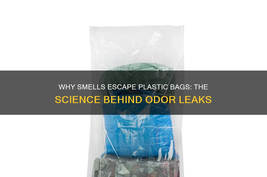 how does smell leak from plastic bag