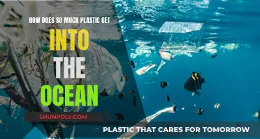 The Ocean's Plastic Problem: Where Does It Come From?