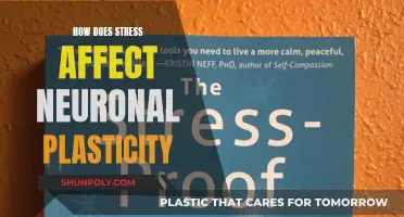 Stress Impact: Neuronal Plasticity and Its Adaptation
